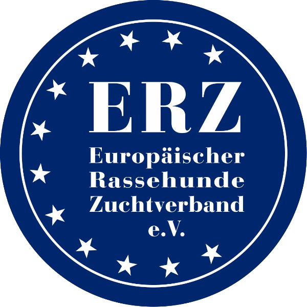 Zur Homepage des ERZ